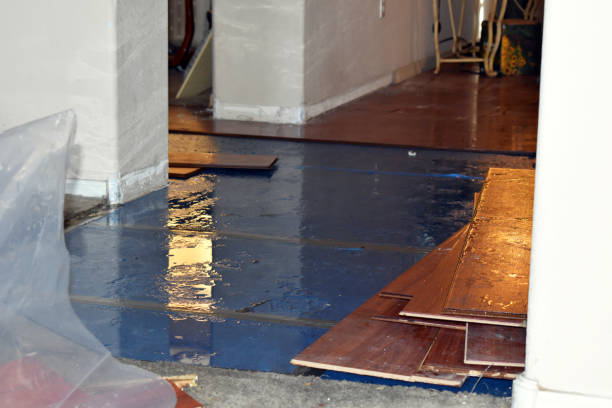 Professional Burst Pipe Cleanup technician working in Newton, MS
